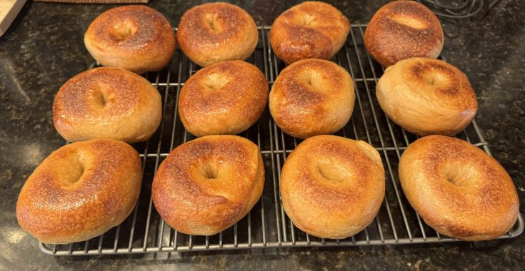 New York Style Bagels