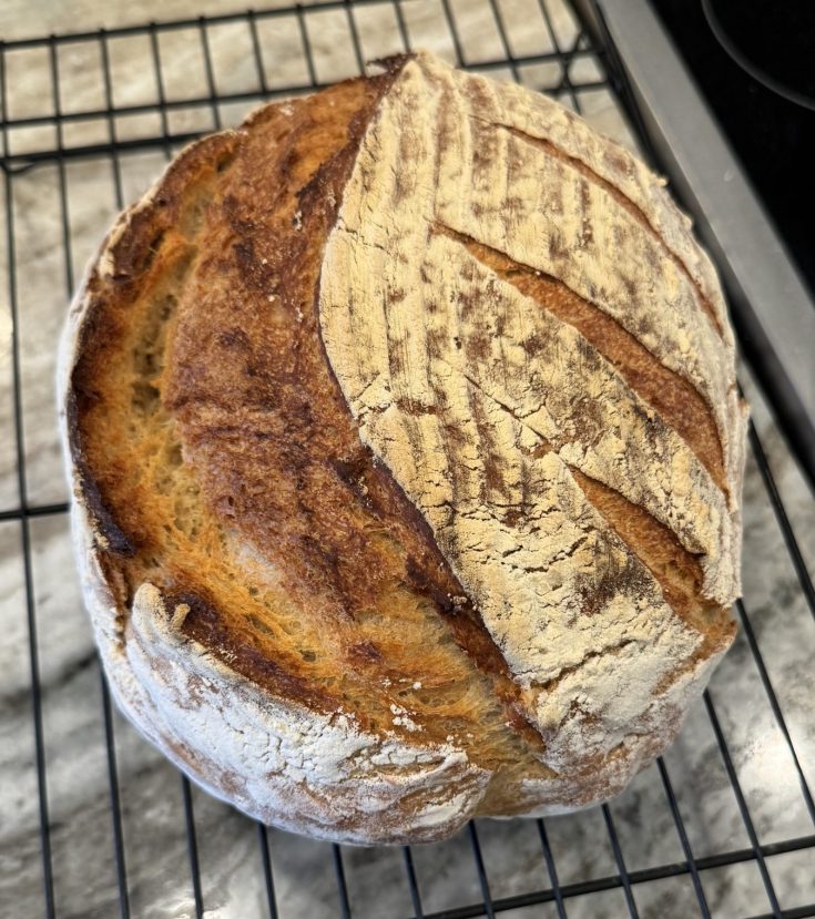 No Knead Bread (Dutch Oven Bread)